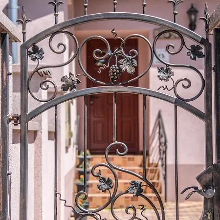 Rozsalugas Vendeghaz Guest house 3*