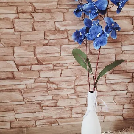 Rozsalugas Vendeghaz