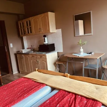 Pensiune Rozsalugas Vendeghaz