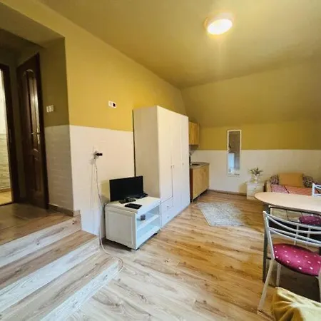 Pensiune Rozsalugas Vendeghaz